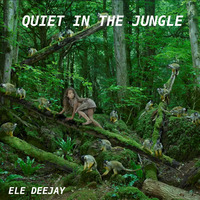 Queiet in the Jungle by Ele deejay