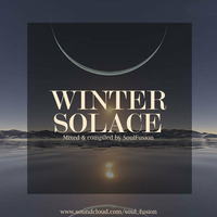 Winter Solace (Drum &amp; Bass Mix January 2014) by SoulFusion