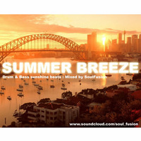 Summer Breeze (Drum &amp; Bass Mix August 2013) by SoulFusion