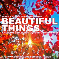 Beautiful Things (Drum &amp; Bass Mix July 2013) by SoulFusion