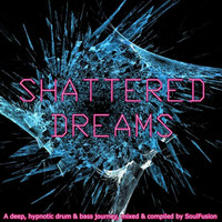 Shattered Dreams (Drum &amp; Bass Mix March 2013) by SoulFusion