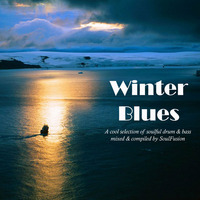 Winter Blues (Drum &amp; Bass Mix January 2013) by SoulFusion