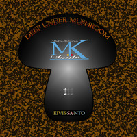 Deep Under Mushroom mix-1 (Aug 2015) by MK.Santo