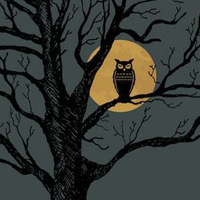 Kinskee - Night Owls by Kinskee