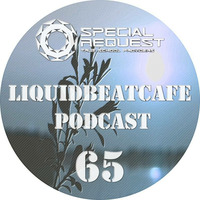 SkyLabCru - LiquidBeatCafe Podcast #65 by SkyLabCru [LiquidBeatCafe Podcast]