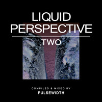 Liquid Perspective 02: A Liquid DnB Session by Pulsewidth