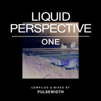 Liquid Perspective 01: A Liquid DnB Session by Pulsewidth