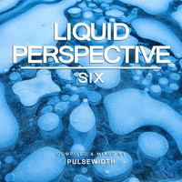 Liquid Perspective 06: A Liquid DnB Session by Pulsewidth