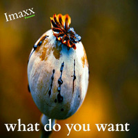 imaxx - what do you want ( original ) by Imaxx