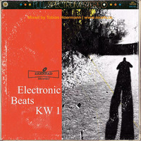 KW 1 electronic beats @ nice.tv by Electronic Beats pres. by Tobias Hoermann