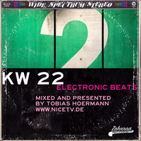 KW 22 electronic beats @ nice.tv by Electronic Beats pres. by Tobias Hoermann