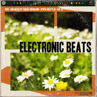 KW 26 electronic beats @ nice.tv by Electronic Beats pres. by Tobias Hoermann