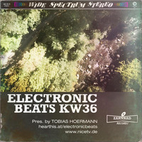 KW36 electronic beats @ nice.tv by Electronic Beats pres. by Tobias Hoermann
