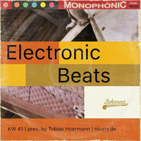  KW41 electronic beats @ nice.tv by Electronic Beats pres. by Tobias Hoermann