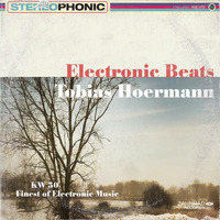 KW50  electronic beats @ nice.tv by Electronic Beats pres. by Tobias Hoermann