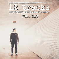 The Nurk presents 12 Tracks Vol. 019 by The Nurk