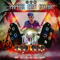 Papare EDM Style Deejay Mj by Deejay Mj