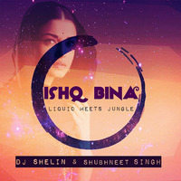 Ishq Bina  - Liquid Meets Jungle - DJ Shelin & Shubhneet Singh Refix by Shubhneet Singh