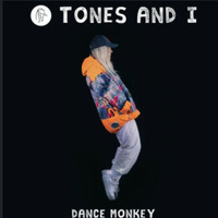 DJ TARUN REMIX_DANCE MONKEY-TONE &amp; I EXTENDED MIX by DJ TARUN