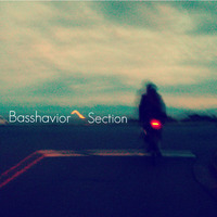 Basshavior - Section by Basshavior