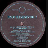  Disco Elements Vol  2 - FEED THE FLAME by Lee James 2nice