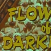 flowers_of_darkness_FBI-insider (the distant Drummer) by Ras Feratu