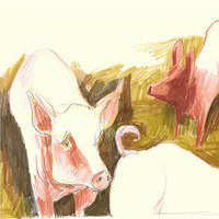 36.Cochons by petit label