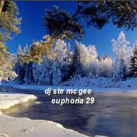 Euphoria 29 by Ste Mc Gee