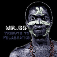 Mr.55 - WTY 12 (Tribute to Felabration) by THE DEEPSOULJA RADIO NETWORK