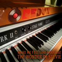 Make me Feel Like Paradise - The Wonder of Stevie - REDUX by Redux Inc Records