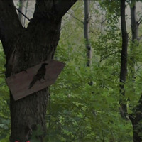 Roäc - The dark ambient - The Crow's Nest by Roäc