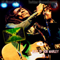 BEST OF BOB MARLEY & THE WAILERS VOL.1 by Cool V12