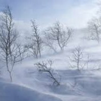 Melodic blizzard ( Original Mix ) by jingxi
