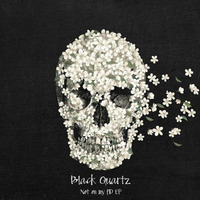 Sweet Darkness (Holed Coin Remix) - Not in my HD EP by Black Quartz