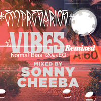 The Vibes Remixed Mixtape by Sonny Cheeba by Empresarios
