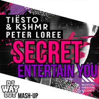 Tiësto &amp; KSHMR &amp; Peter Loree - Secret Entertain You (DJ WayOut Feest Mash-Up) by DJ WayOut