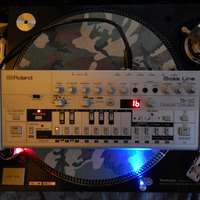 binar - my tb-03 acid tunes as mp3s mix - 221023 remaster by binar