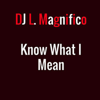 Know What I Mean by DJ L Magnifico
