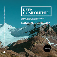 Lomidze - Deep Components 01 (30.05.2014) by Lomidze