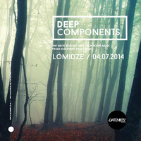 Lomidze - Deep Components 007 (11.07.2014) by Lomidze