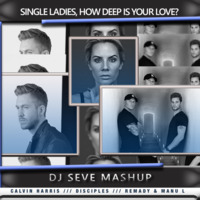 Single Ladies How Deep Is Your Love by DJ SeVe by DJ SeVe