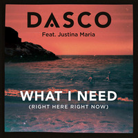 DASCO - What I Need (Shoko Remix) by DASCO