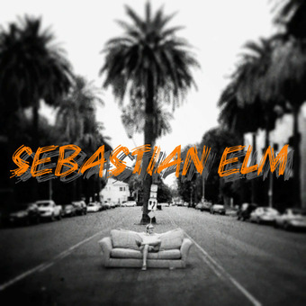 Sebastian Elm