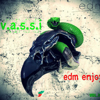 Vassi#109 presents EDM Enjoy by V.a.s.s.i