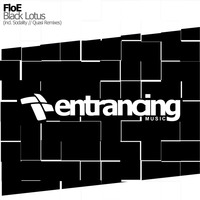 FloE - Black Lotus (Sodality Remix) @ Vonyc Sessions Best of 2015 with Paul van Dyk by Entrancing Music