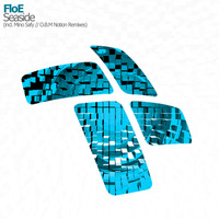 FloE - Seaside (O.B.M Notion Emotional Remix) @ Paul van Dyk Vonyc Sessions 495 by Entrancing Music