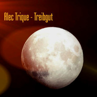 (11-2016) Alec Trique - Treibgut by Alec Trique