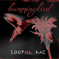 hummingbird by LOOPita MC