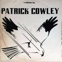 Bootleg Remix of Patrick Cowley 1982 Mexico White Label by Michael Freeman