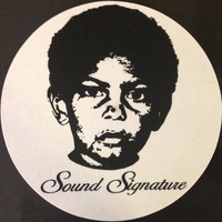 Signature Sounds #2 Another tribute to Theo Parrish by Pujd